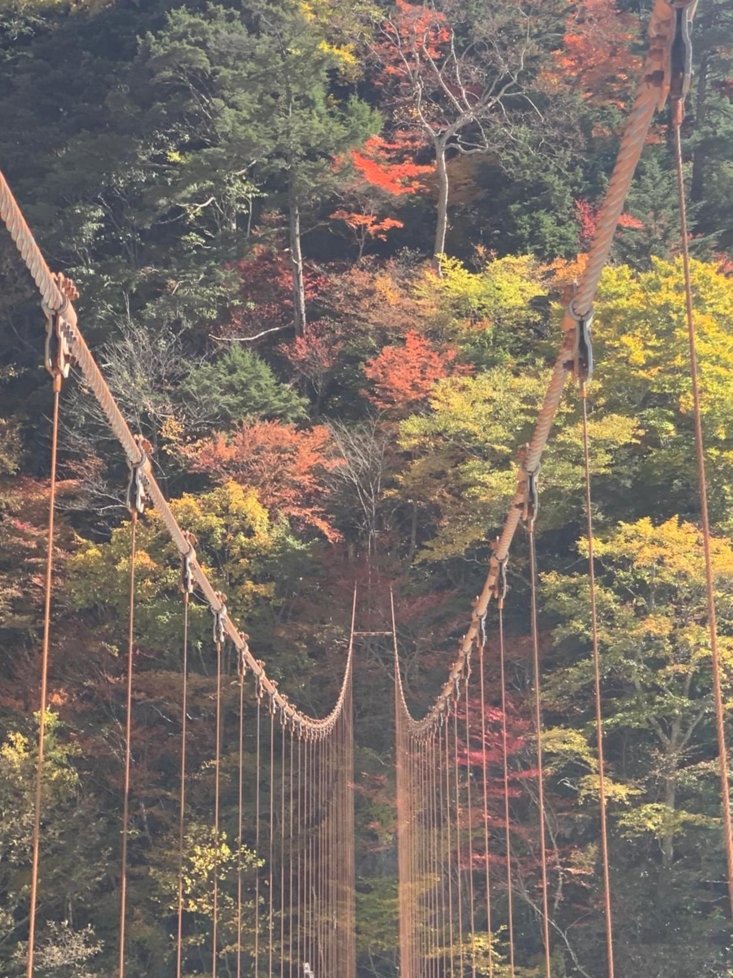 コテージ野の香 * Omachi (Nagano)